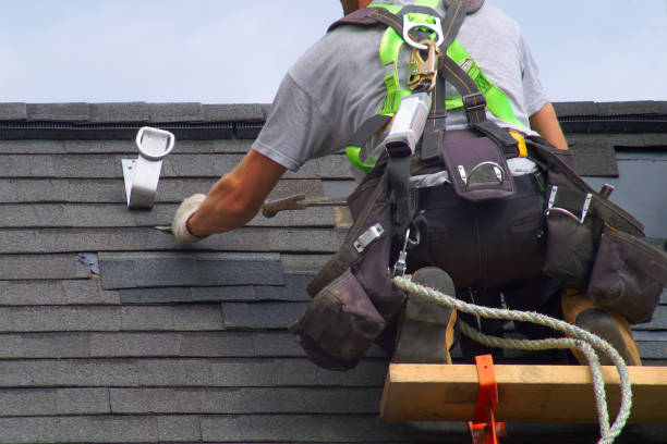 Best Roof Gutter Cleaning  in Marion, KS